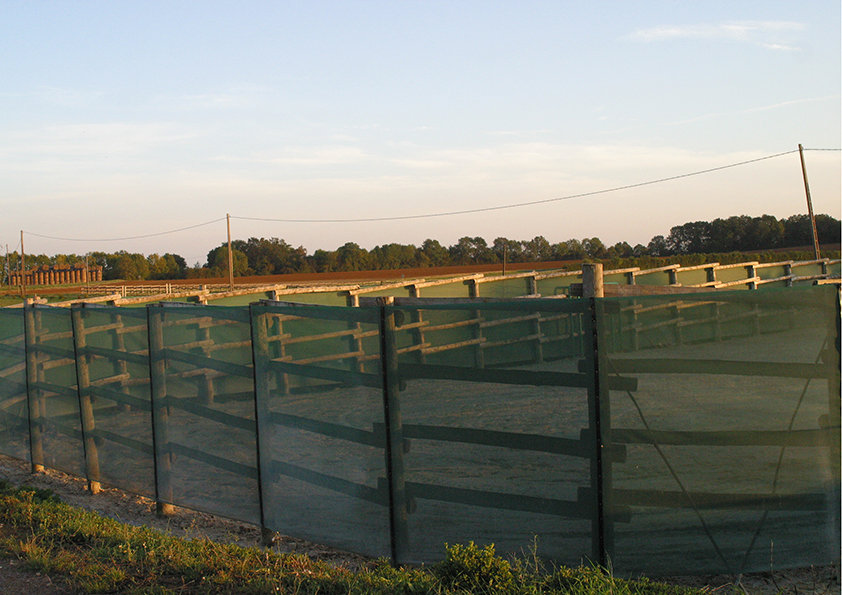 Le rond d'Havrincourt