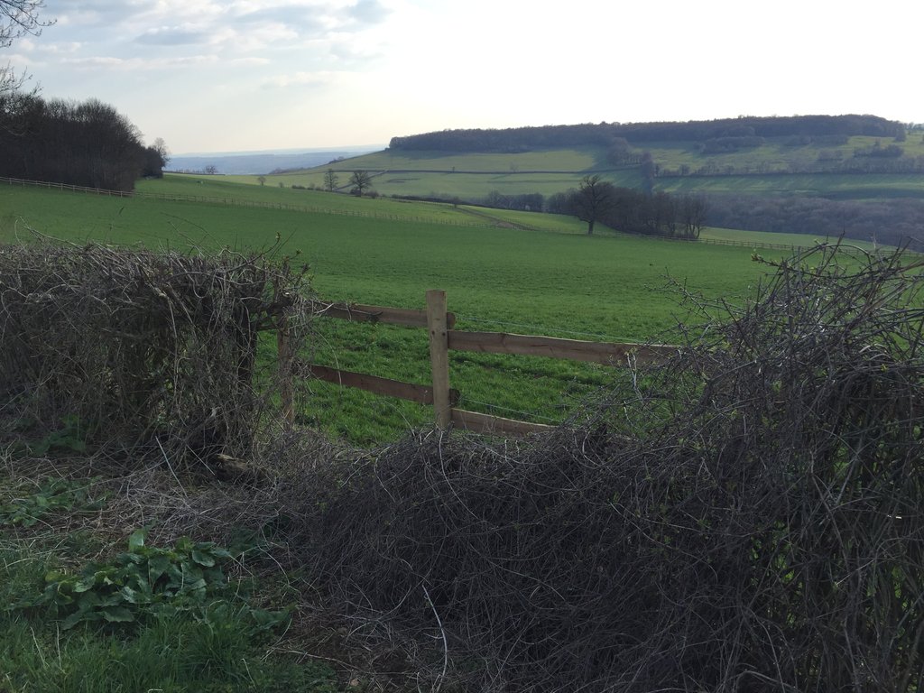 Prés en Bourgogne